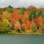 autumn_leaves_scene